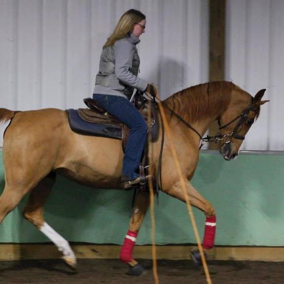 Meet your Posher, Danielle - Picture 3 of 8